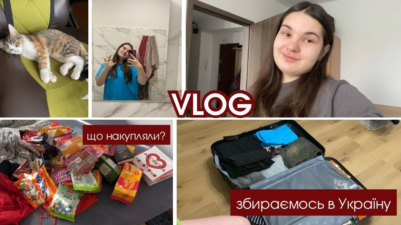Куди це все поскладати? Посварилась з Назаром😡