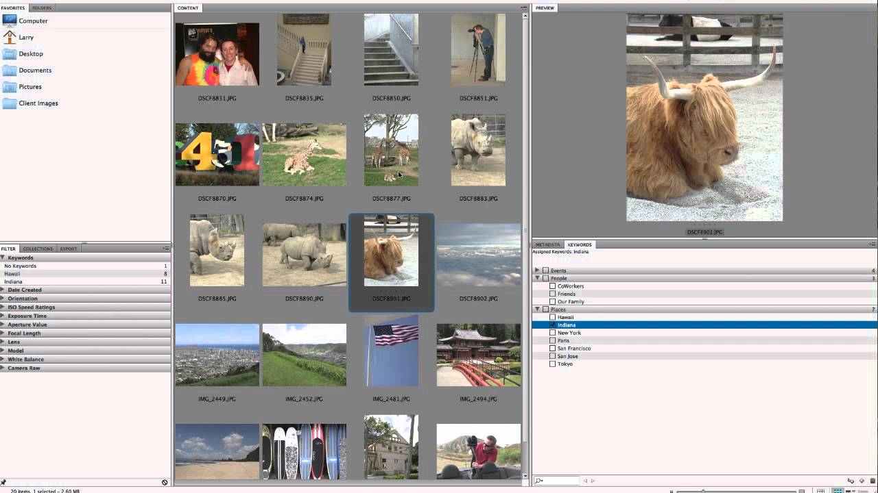 Photoshop Tutorial:  Using Keywords in Adobe Bridge