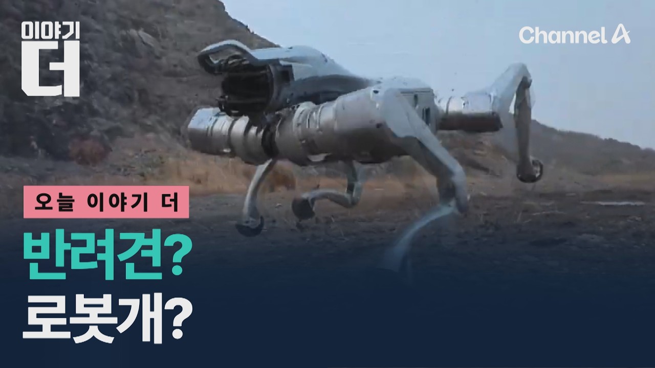성묘 돕고 테니스 치고… 불붙는 로봇개 경쟁  / 이야기더 / 채널A