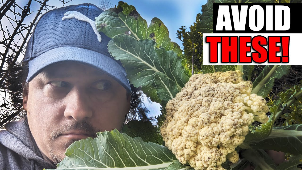 5 Garden Mistakes To Avoid This Year - Garden Quickie Episode 183