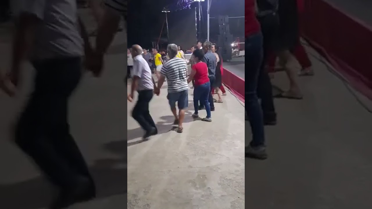 Zilele Comunei Logresti -Gorj !