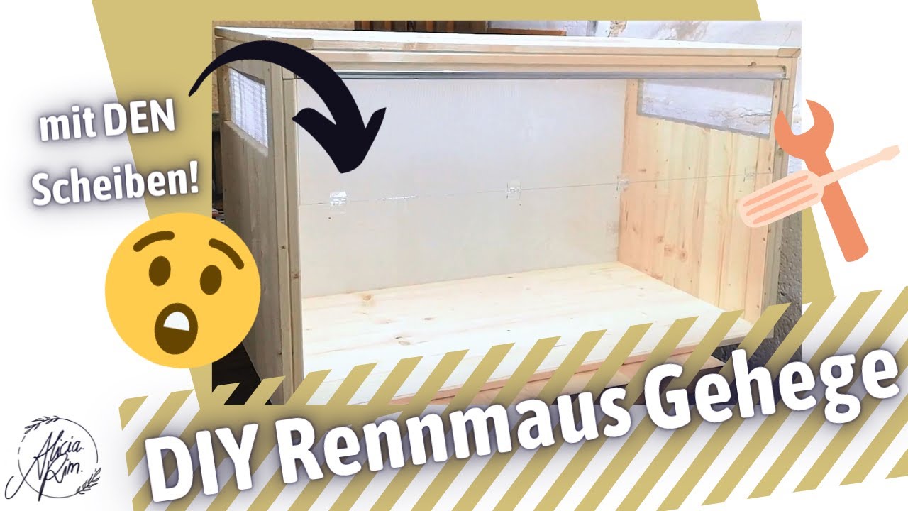 DIY - Rennmaus Gehege selber bauen! (einfach&günstig)