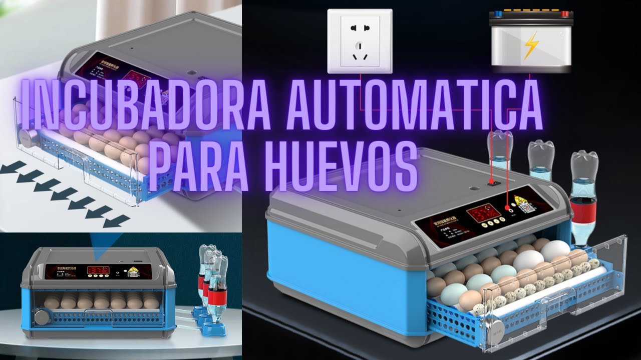 TUTORIAL INCUBADORA AUTOMATICA MAQAGRI PARA 48 HUEVOS  110VAC /12 VDC