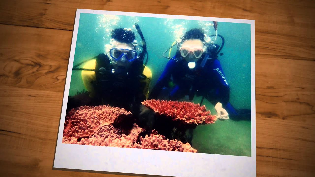 2015 PADI COURSE REVIEW