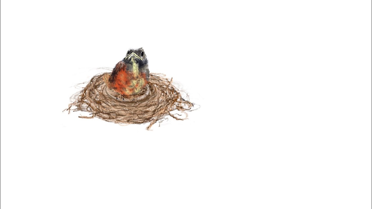 Jan Donley Consider the Birds 2025