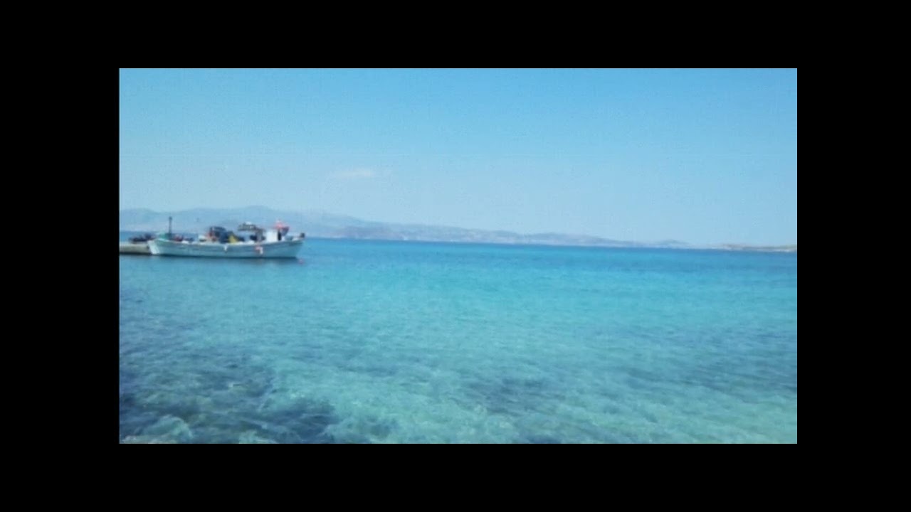 Ενότητα αμοριανό