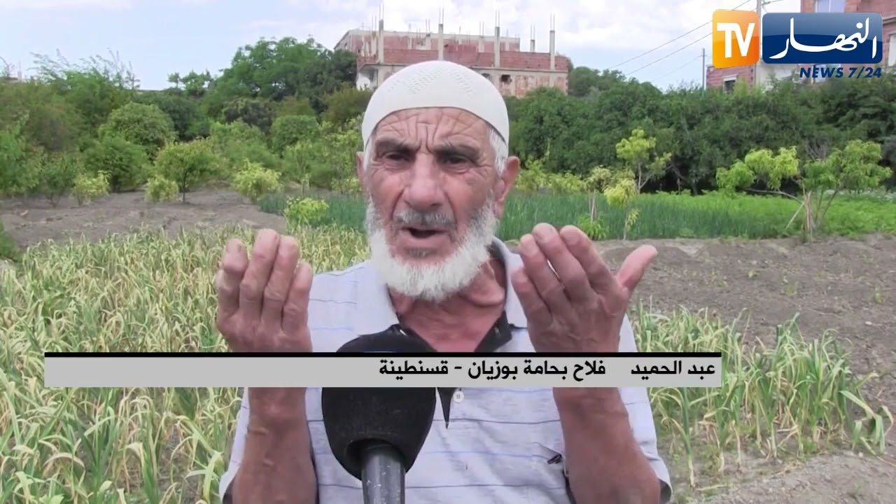 قسنطينة: مشكل السقي.. هاجس يهدد بساتين حامة بوزيان المثمرة
