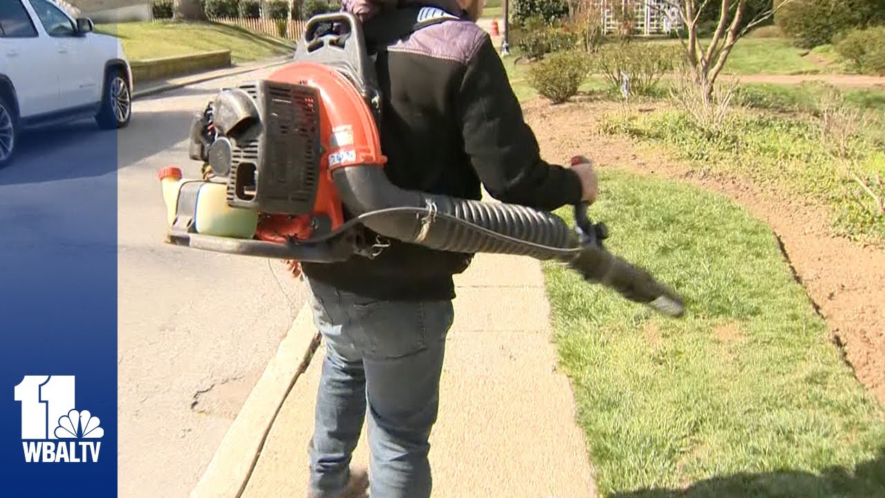 Councilman proposes banning gas-powered leaf blowers