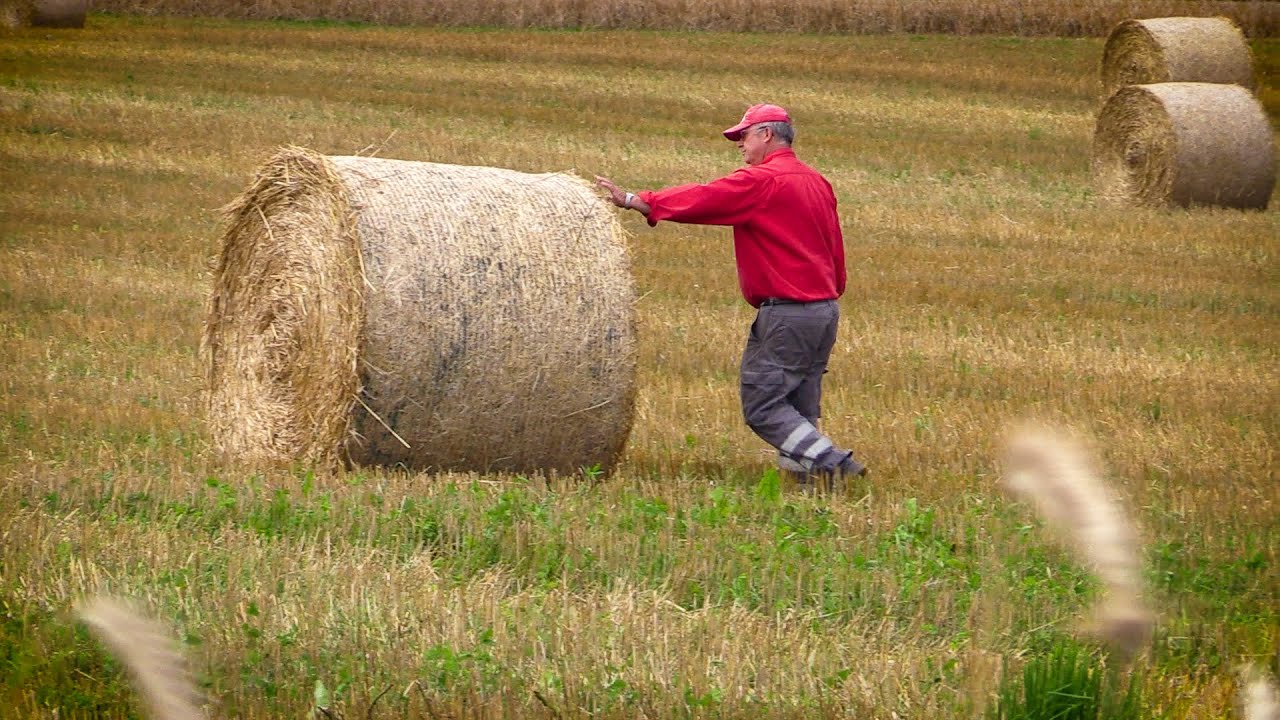 PLANTEAVL UDEN GØDNING