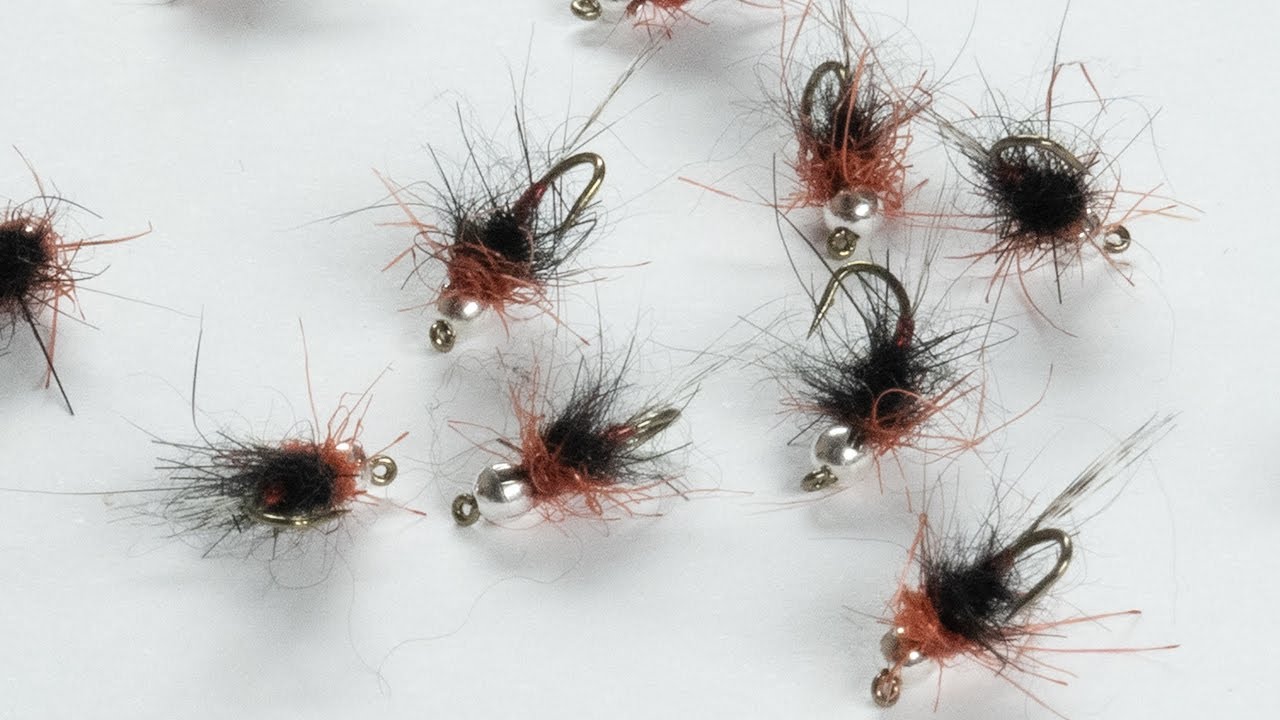 nymphe flash rouge et noire. Black and Red Flash nymph