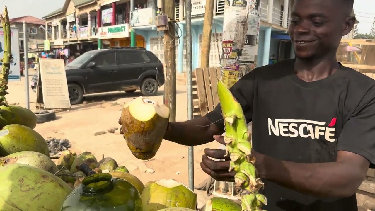 COLLECTING COCONUT WATER 