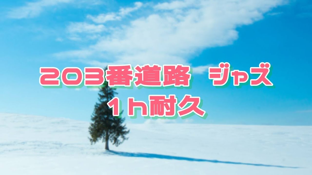 203番道路 ジャズ 1時間耐久　Route 203 Jazz 1 hour extended