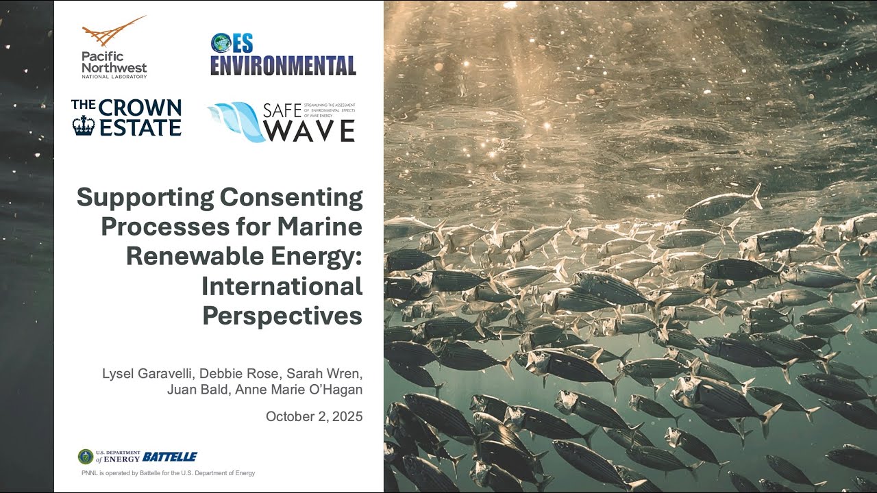 Supporting Consenting Processes for Marine Renewable Energy: International Perspectives Webinar