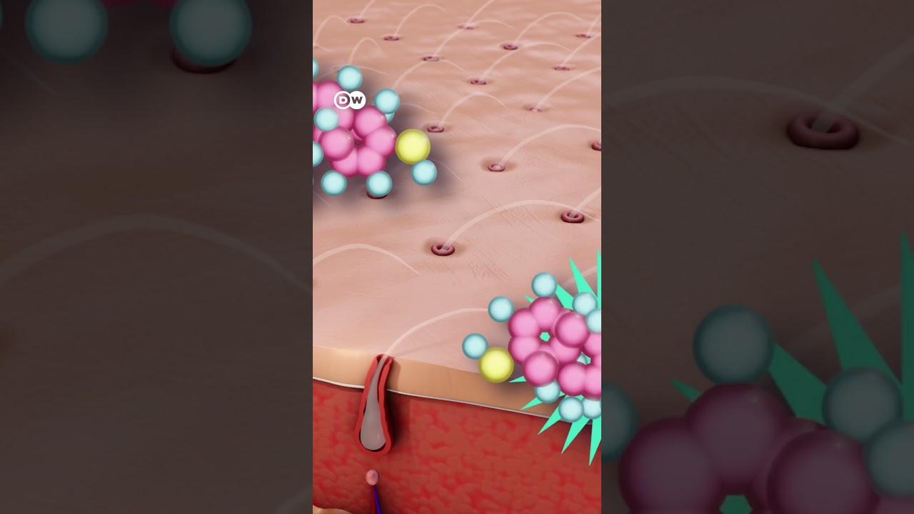 Role of hormones in the process of hair growth [Process of hair growth]