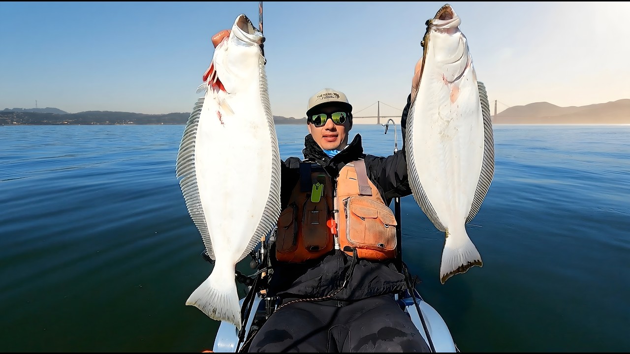 Quick California Halibut Limit in the SAN FRANCISCO BAY on my Kayak