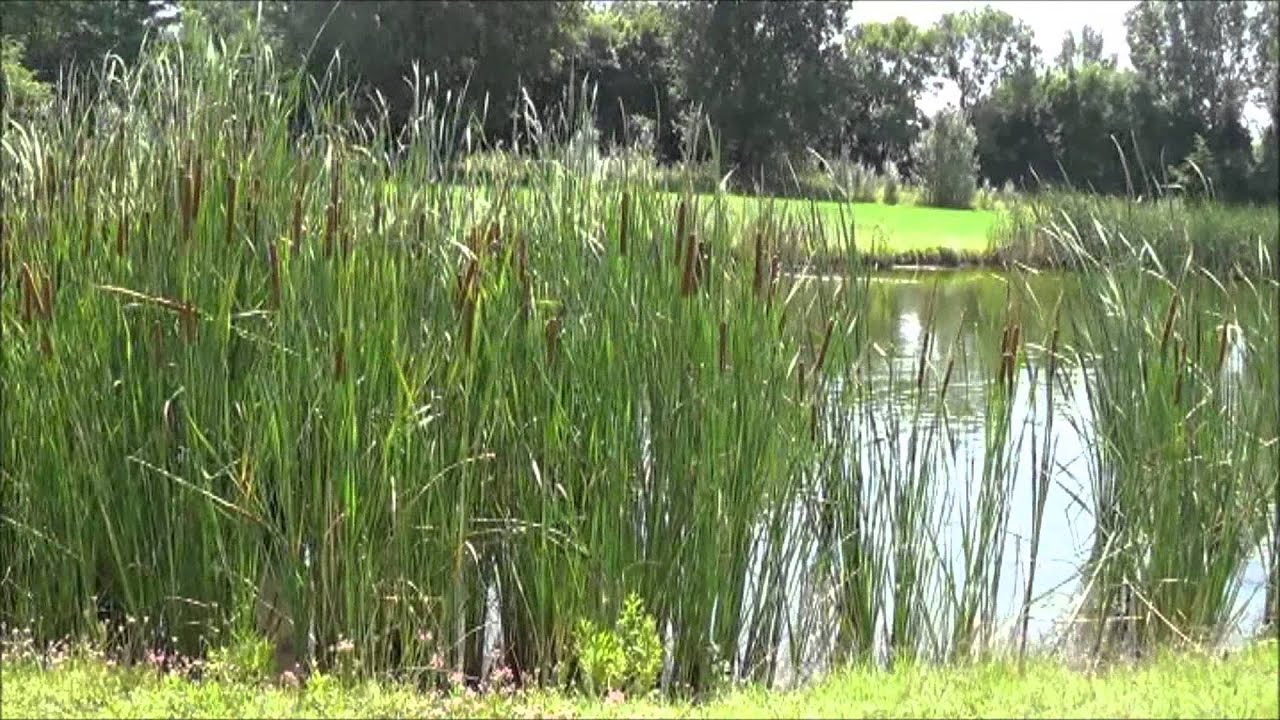 AIFG 8^ tappa Golf Club Le Cicogne Faenza