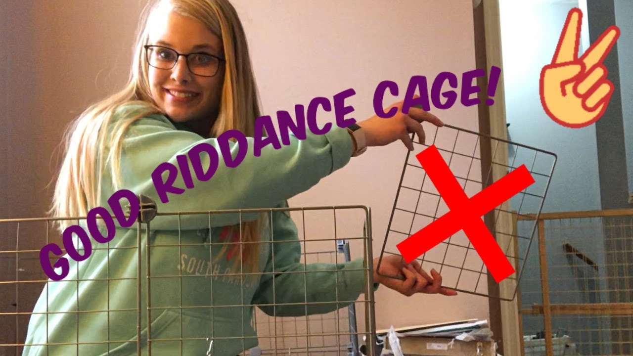 THROWING AWAY MY RABBITS CAGE + Small Pet Select Unboxing!