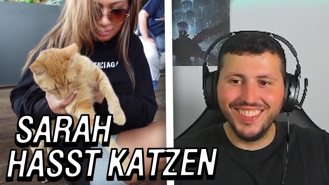 Berhan & Sarah sind gemein zu Katzen...| Haikel macht das traurig