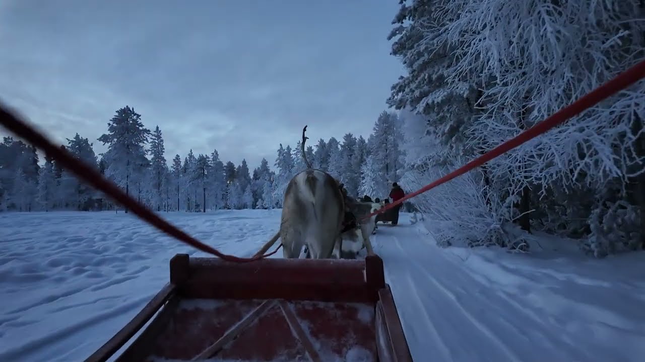 Santa Claus Village Rovaniemi Lapland Finland 🇫🇮 Reindeer Sleigh Ride