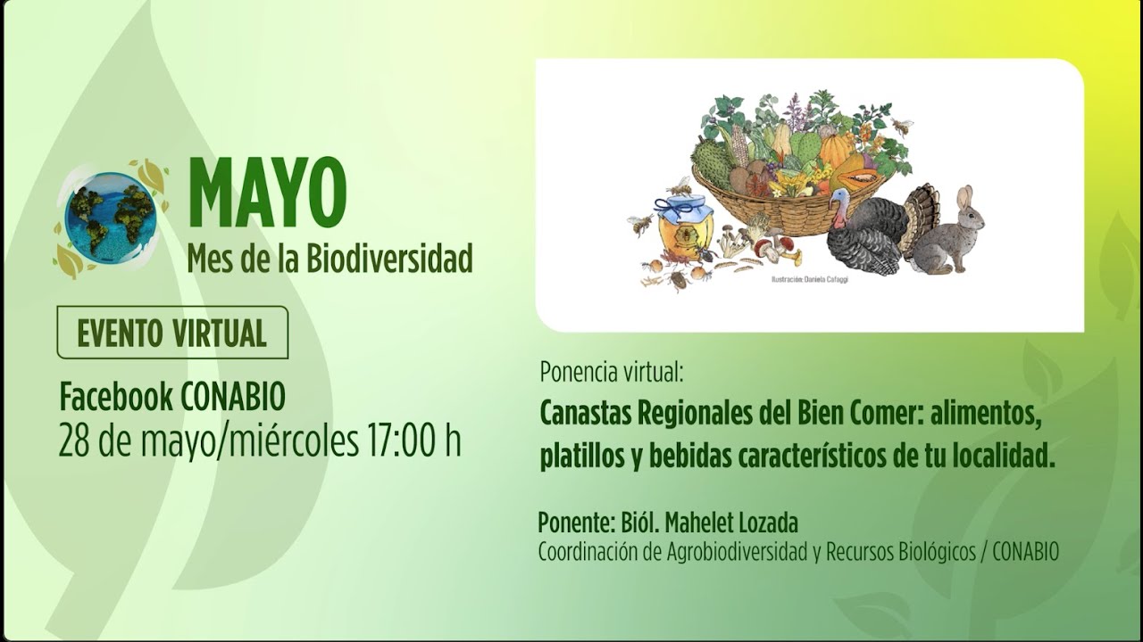 Canastas regionales del bien comer: alimentos, platillos y bebidas característicos de tu localidad.