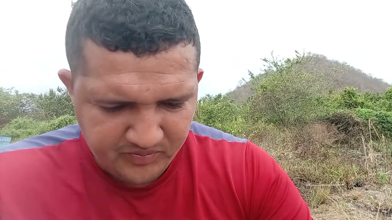 Plantando  50 mudas  de acerola junco