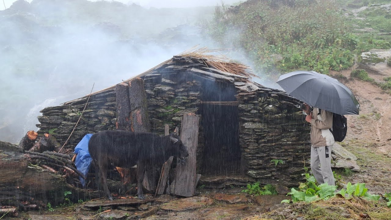 Best Life in A Mountain Shepherd’s During The Rainy Day | Most Relaxing | Village Documentary Video