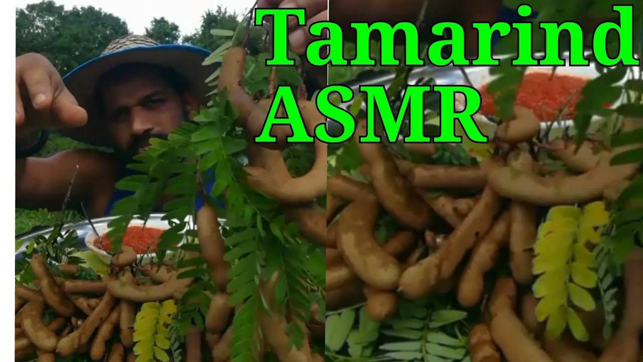 Raw sour Tamarind with chili salt sauce and Curry leaves garlic souse/ Food Eating Show [ASMR]…