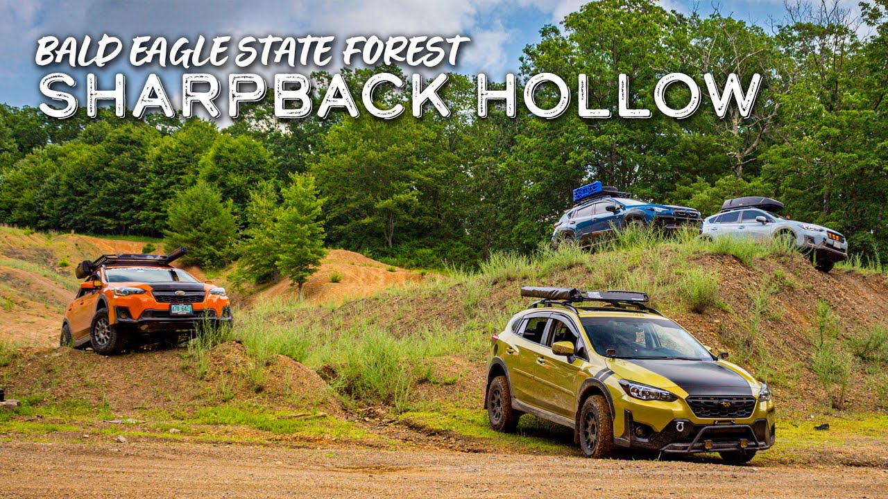 We Took Our Crosstreks to Bald Eagle State Forest… Here’s What Happened