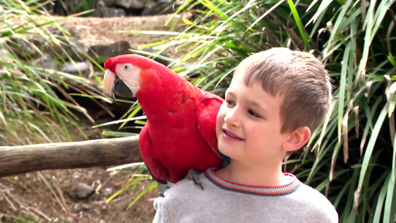 Bird World