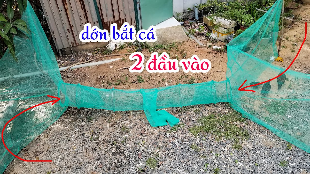 BÁN DỚN ĐẶT CÁ 2 ĐẦU đầy đủ các loại, giao hàng toàn quốc