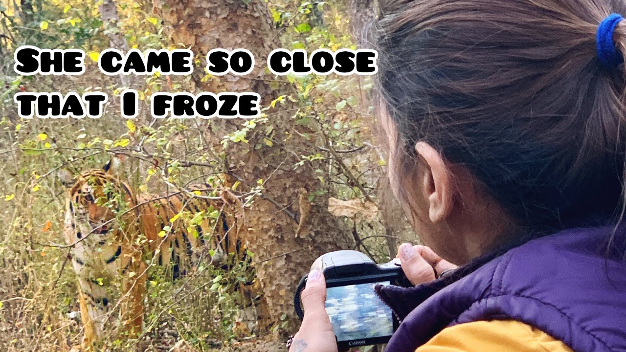 Pench National Park  | How to do Pench Tiger Safari | Pune To Pench Roadtrip | Part 1