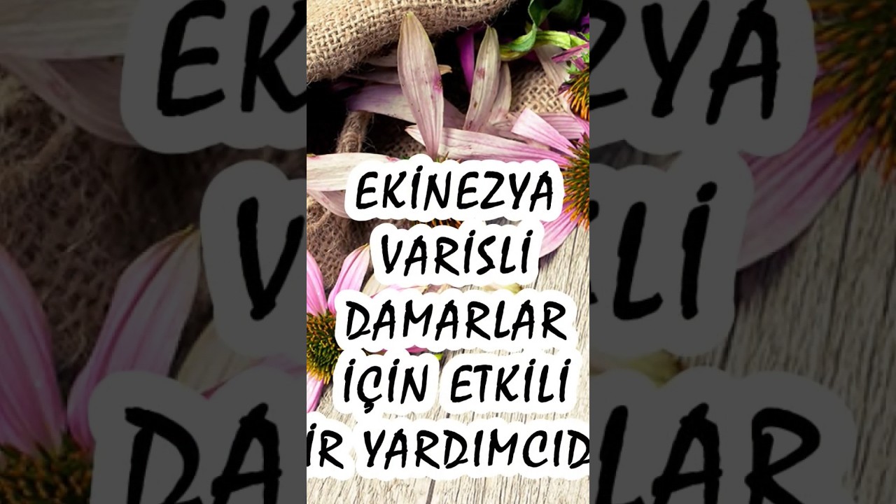 EKİNEZYA VARİSLİ DAMARLAR İ&Ccedil;İN &Ccedil;OK ETKİLİ BİR &Ccedil;&Ouml;Z&Uuml;MD&Uuml;R #ekinezya