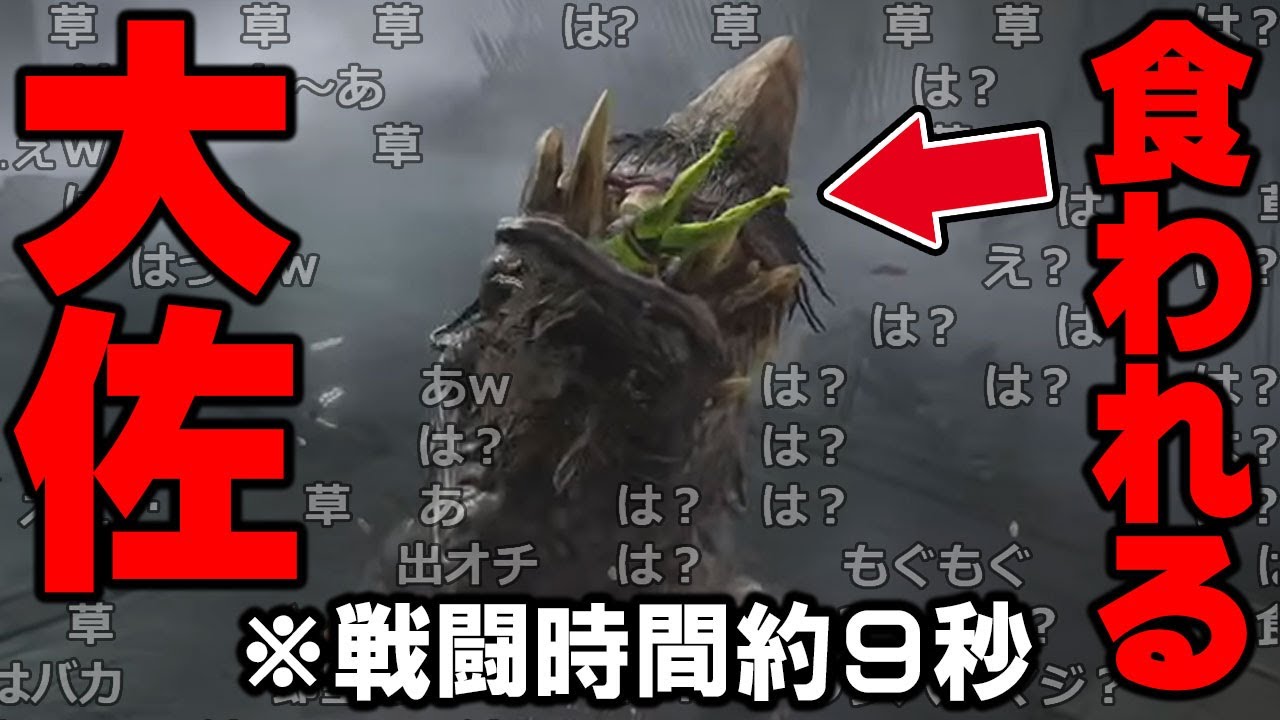 【愛の戦士】凄い勢いでカバに蹂躙される大佐4連発【2024/09/05】
