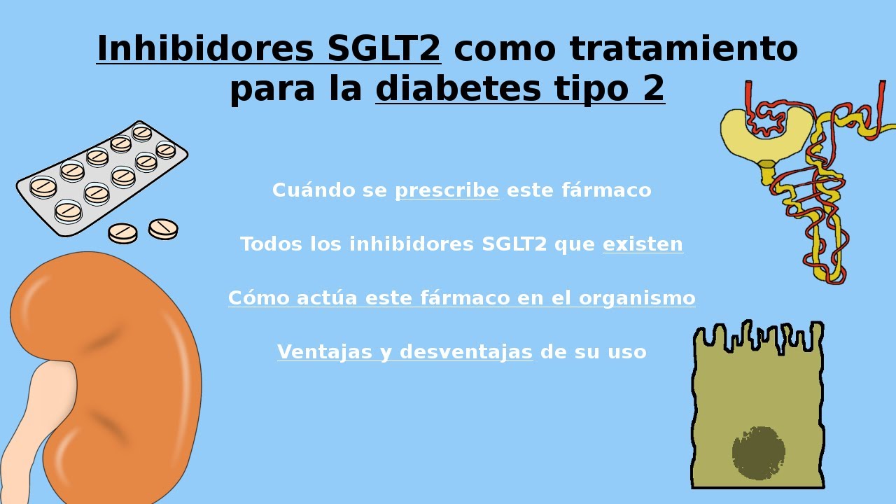 Inhibidores SGLT2 para tratamiento diabetes tipo 2. Mecanismo de acción del medicamento Diabetes AIB