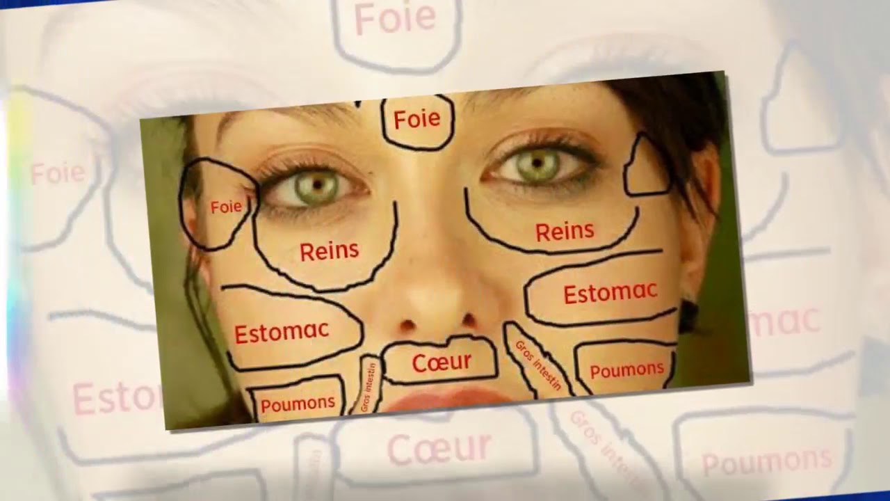 Chinese facial map: when skin problems reveal the state of vital organs of the body