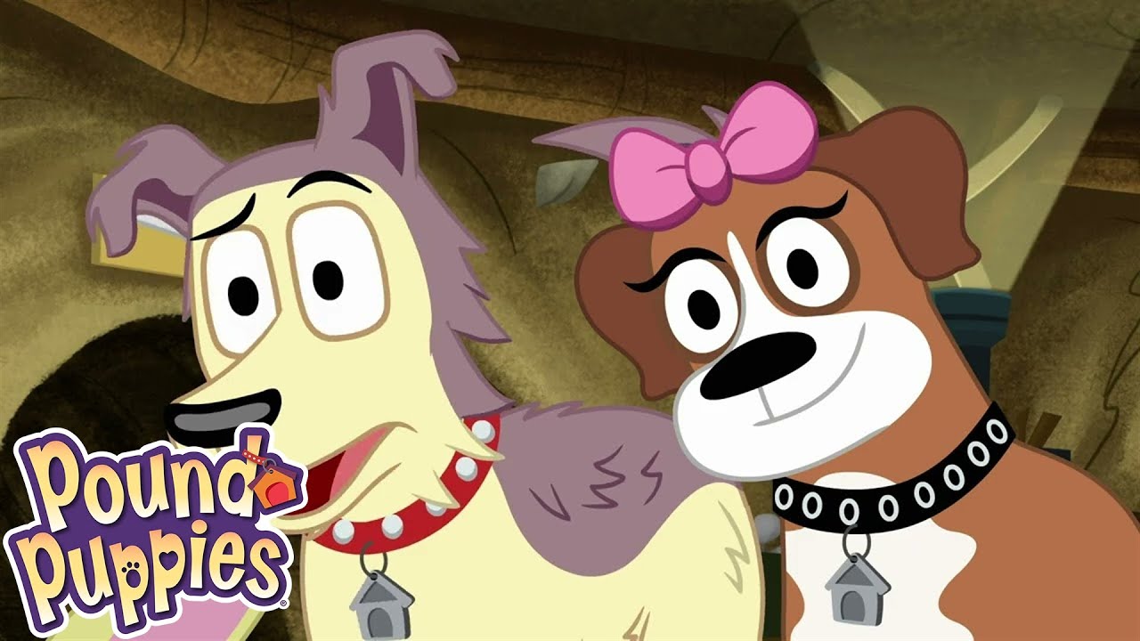Pound Puppies | Toyoshiyo! Bark Friend Machine | Season 1 | Pet Cartoon