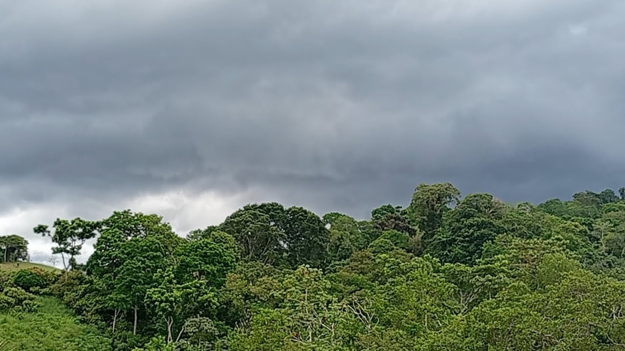 Faltou energia no final de semana e não conseguir postar mais vídeo 