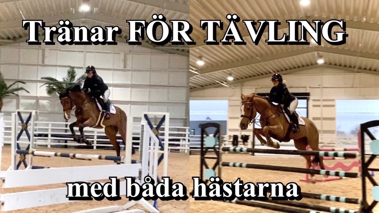 VLOGG *Hoppar båda hästarna, berättar om min kyl & bandageringsrutin*