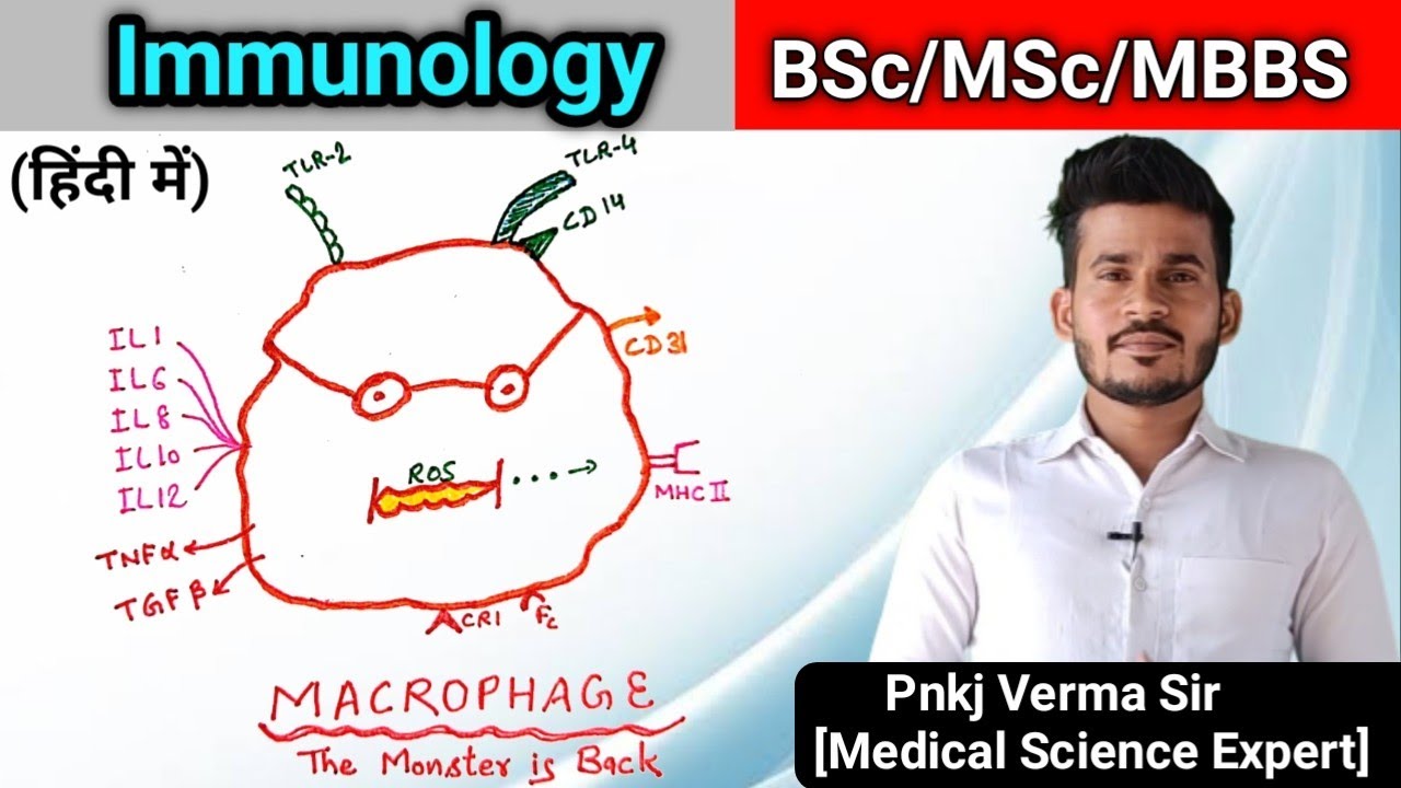 Macrophage - in Hindi - Immunology - Pnkj Verma Sir
