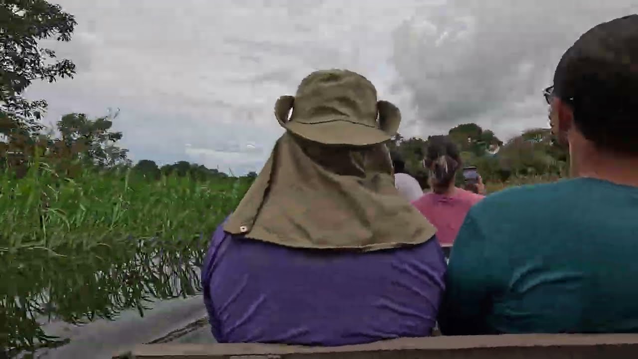 Brazil Amazonas - Hunt for Amazonian Anaconda #brazil #amazon #anaconda