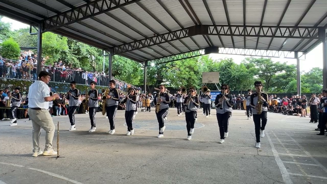 PANAMERICAN CUERDAS Y METALES 