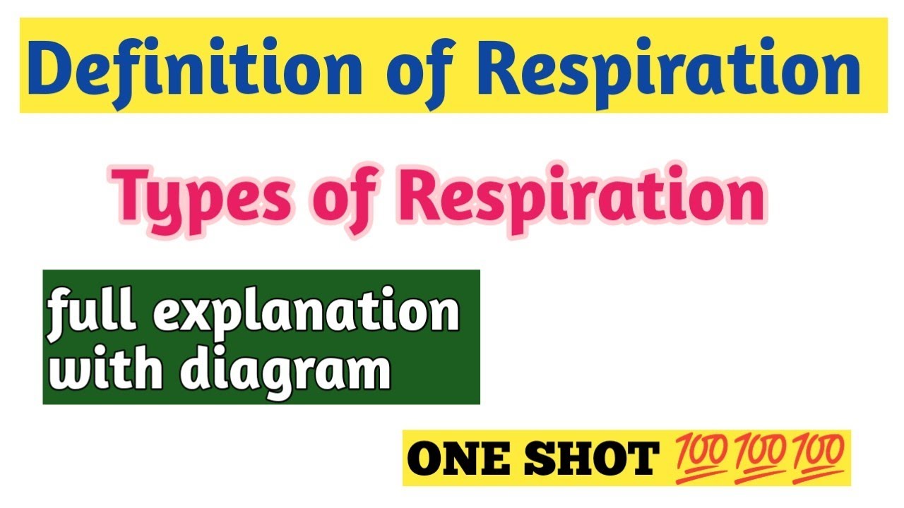 Respiration। Types of Respiration। Definition of Respiration/class-10 biology life Process 