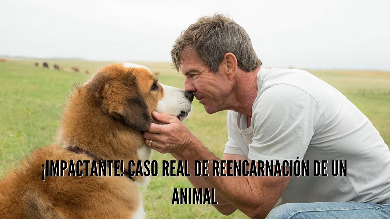 El MÁS ALLÁ de los animales. TESTIMONIOS REALES… Nuria Martínez Márquez