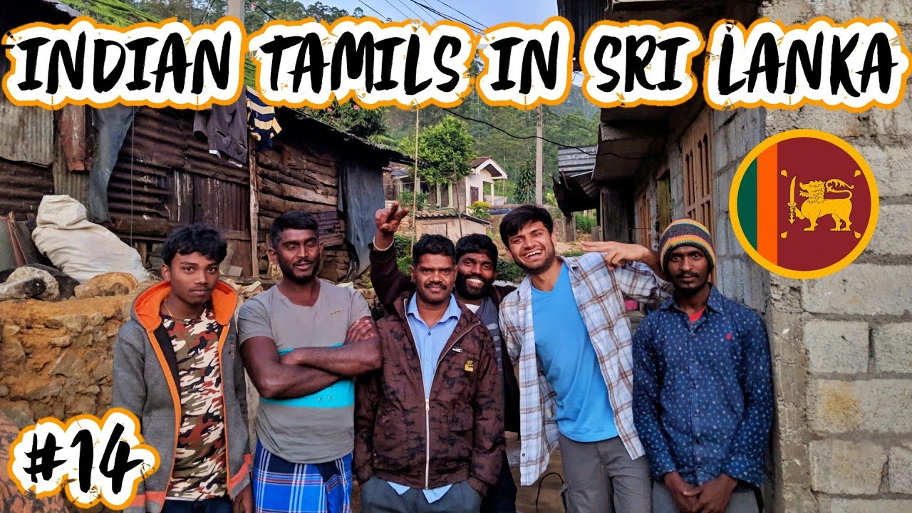 LIFE OF INDIAN TAMILS IN SRI LANKA - NUWARA ELIYA 🇱🇰
