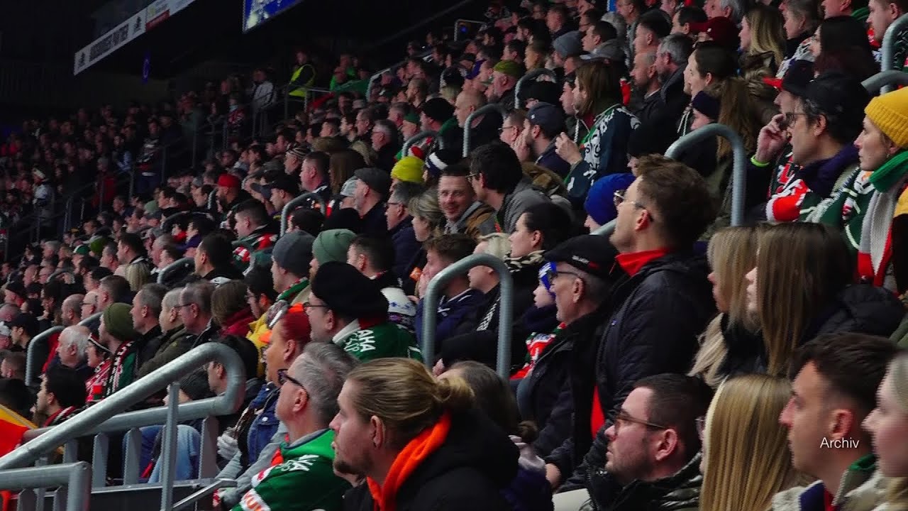 Sport-Highlight-Wochenende in Augsburg: Panther, Kangaroos & FCA im Einsatz