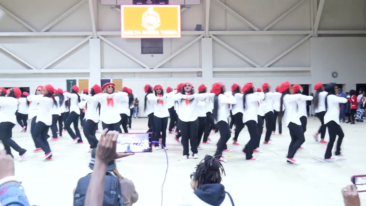 Delta Sigma Theta Delta Eta Chapter Fall 2022 Initiates