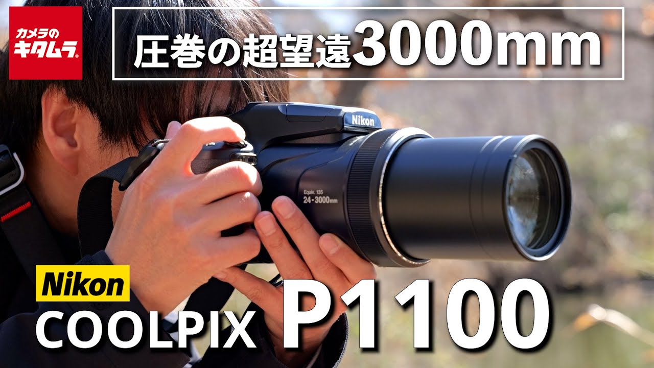 ニコン COOLPIX P1100を野鳥撮影でレビュー！圧巻の超望遠が楽しいネオ一眼
