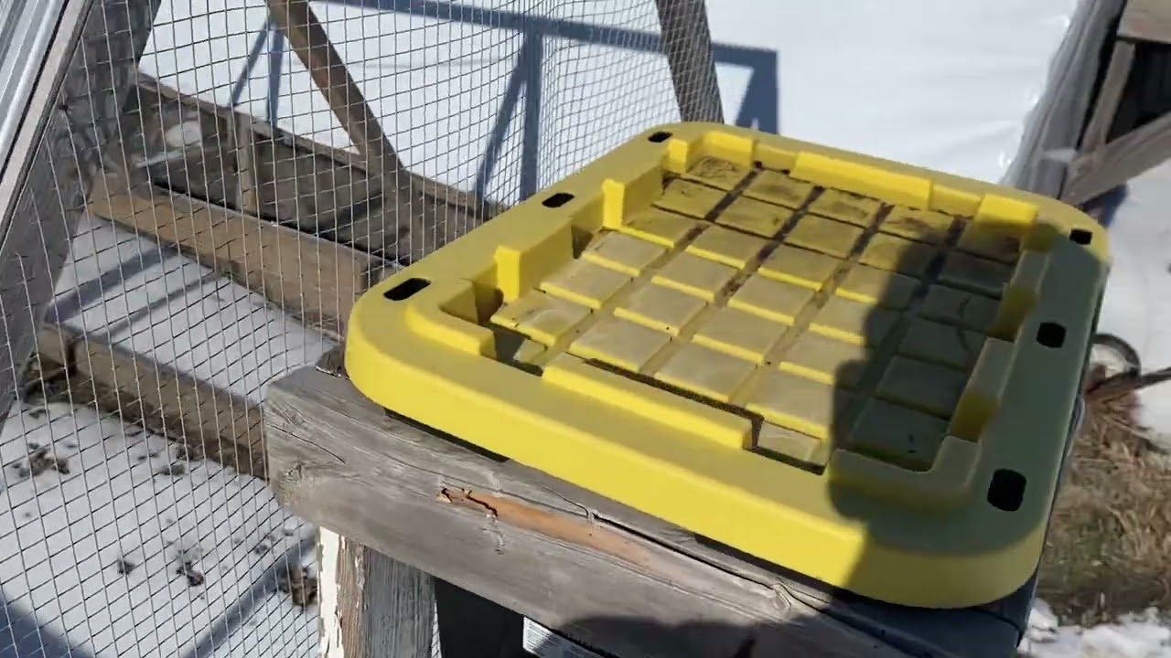 Chicken Tractors UPDATE
