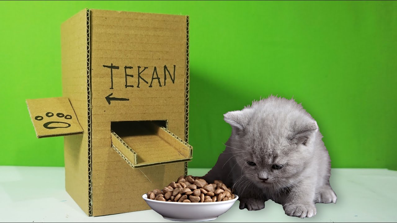 🔥 Cara Membuat Mesin Dispenser Makanan Kucing / Anjing dari kardus bekas