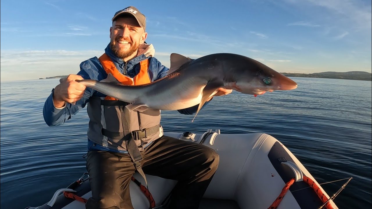 Fishing for Spurdogs - Antrim Coastline 🍀